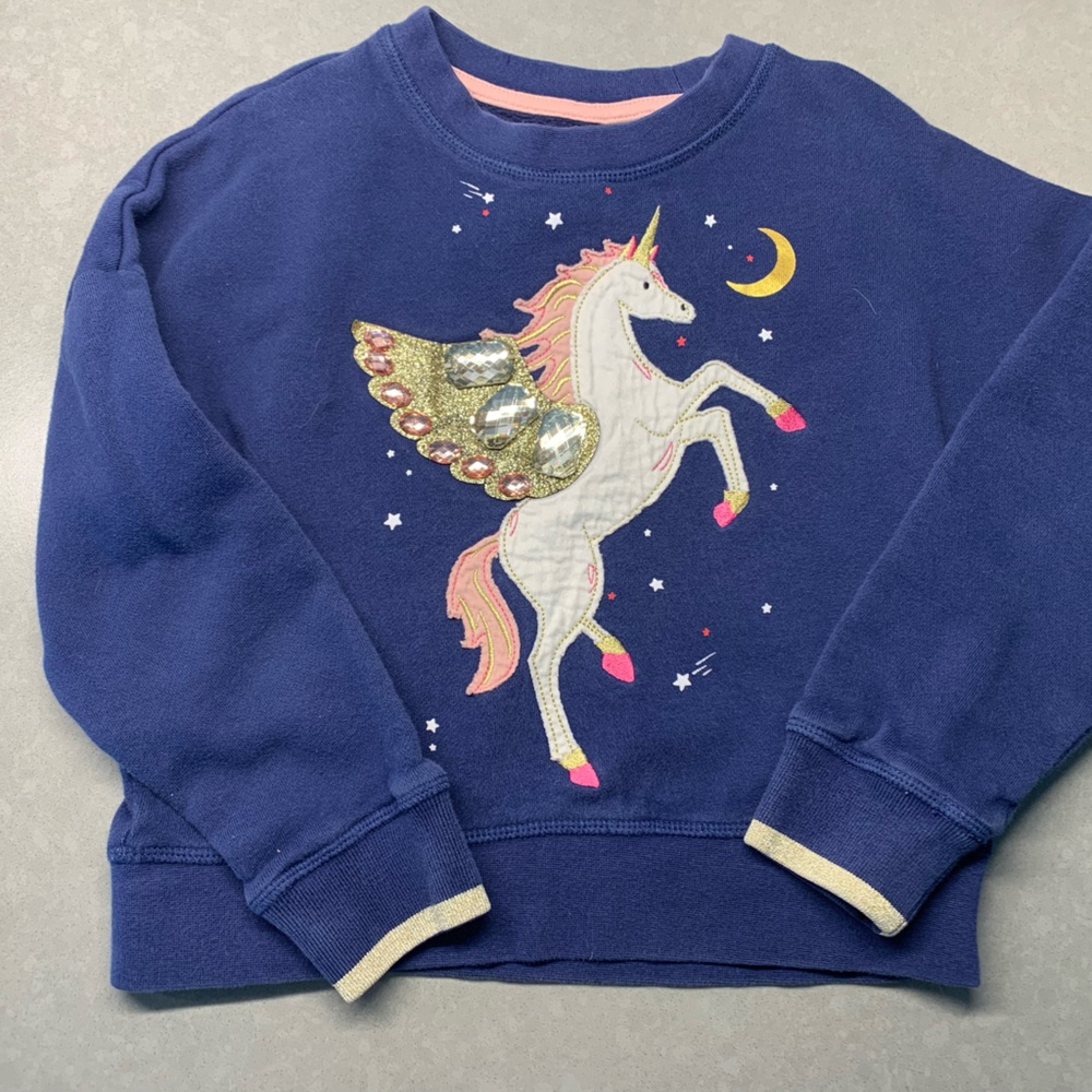 Mini Boden Sweatshirt embroidered with jewels